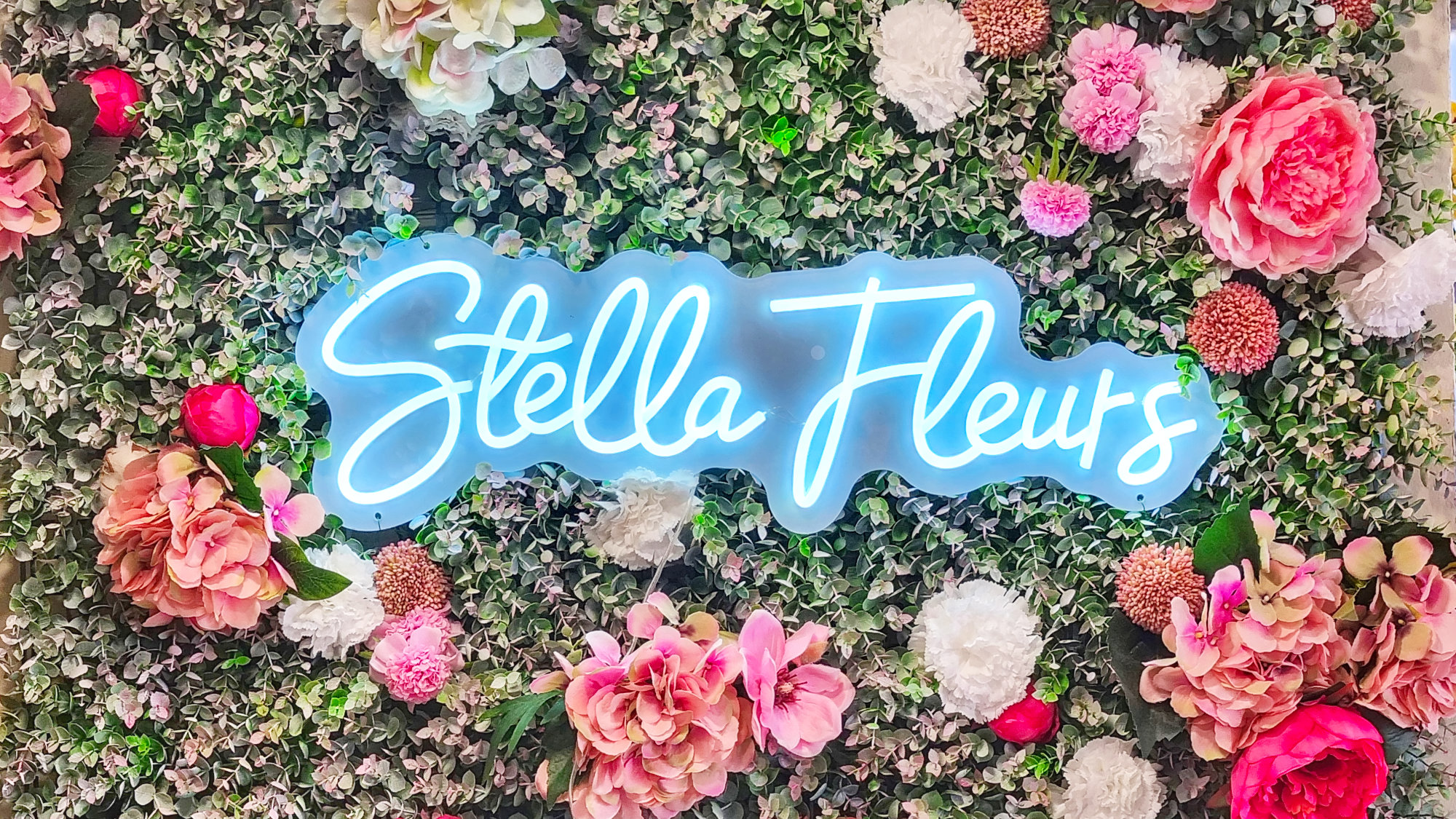 stella fleurs fleuriste arles et saint gilles